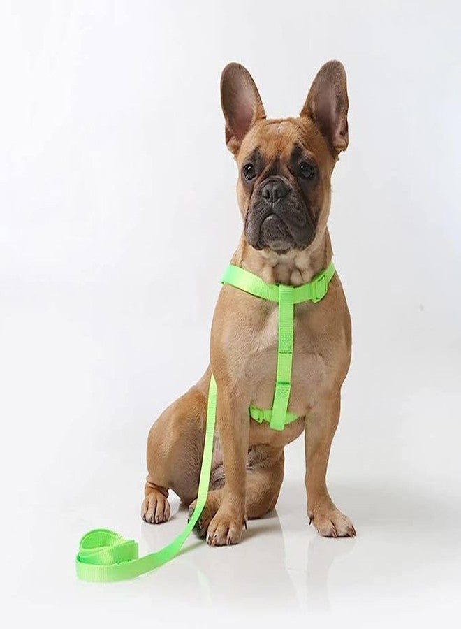 Pups&Pets 15 MM Nylon Leash with Harness 0.5 Inch Adjustable Nylon Harness Set Ideal for Small Breed Dog & Puppies - Parrot Green - Image 1